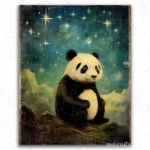 Bébé Panda et Étoiles