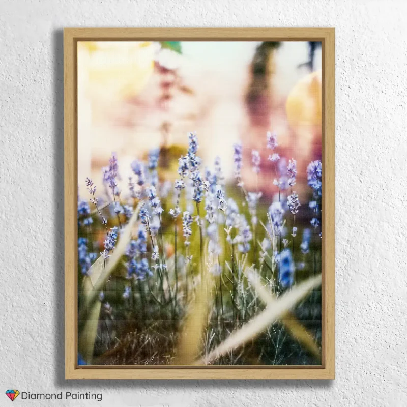 Campo di fiori al sole