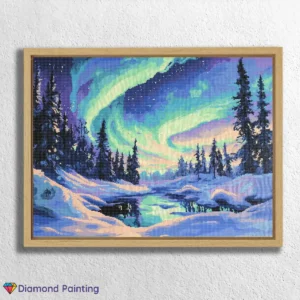 Nordlichter & Schnee