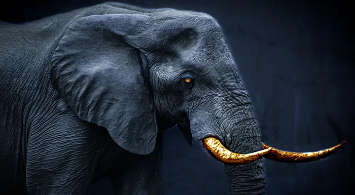 Animals Paint by Numbers DIY paintings - Paint by numbers - Diamond Painting