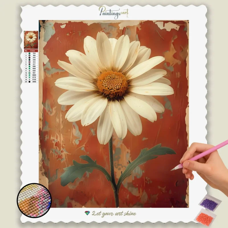 Marguerites Blanches