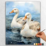 Maestosa Coppia di Cigni