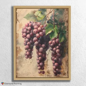 Raisins Pourpres Foncés