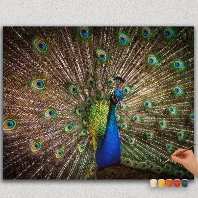 Paint-By-Numbers-DIamond-Painting-HORJPG-64 Glad Påfugl