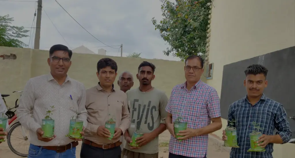 Tree Plantation 3 copy DIY paintings - Paint by numbers - Diamond Painting