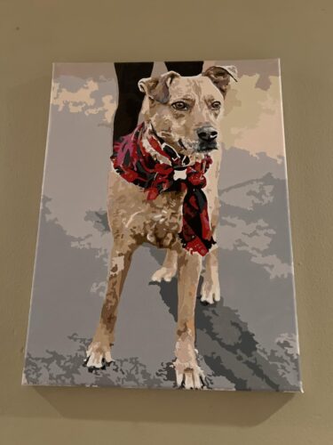 Custom Paint by Numbers Kit From Your Photo | Personalized photo review