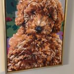 Custom Paint by Numbers Kit From Your Photo | Personalized photo review