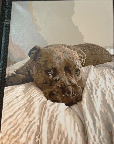 Custom Paint by Numbers Kit From Your Photo | Personalized photo review