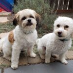 Custom Paint by Numbers Kit From Your Photo | Personalized photo review