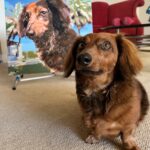 Custom Paint by Numbers Kit From Your Photo | Personalized photo review