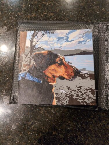 Custom Paint by Numbers Kit From Your Photo | Personalized photo review