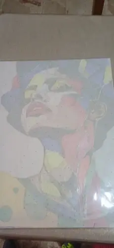 Custom Paint by Numbers Kit From Your Photo | Personalized photo review