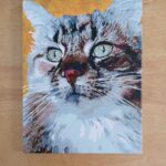 Custom Paint by Numbers Kit From Your Photo | Personalized photo review