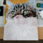 Custom Paint by Numbers Kit From Your Photo | Personalized photo review